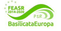 Logo del FEASR