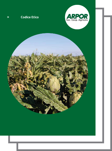 Copertina del Codice Etico di Arpor